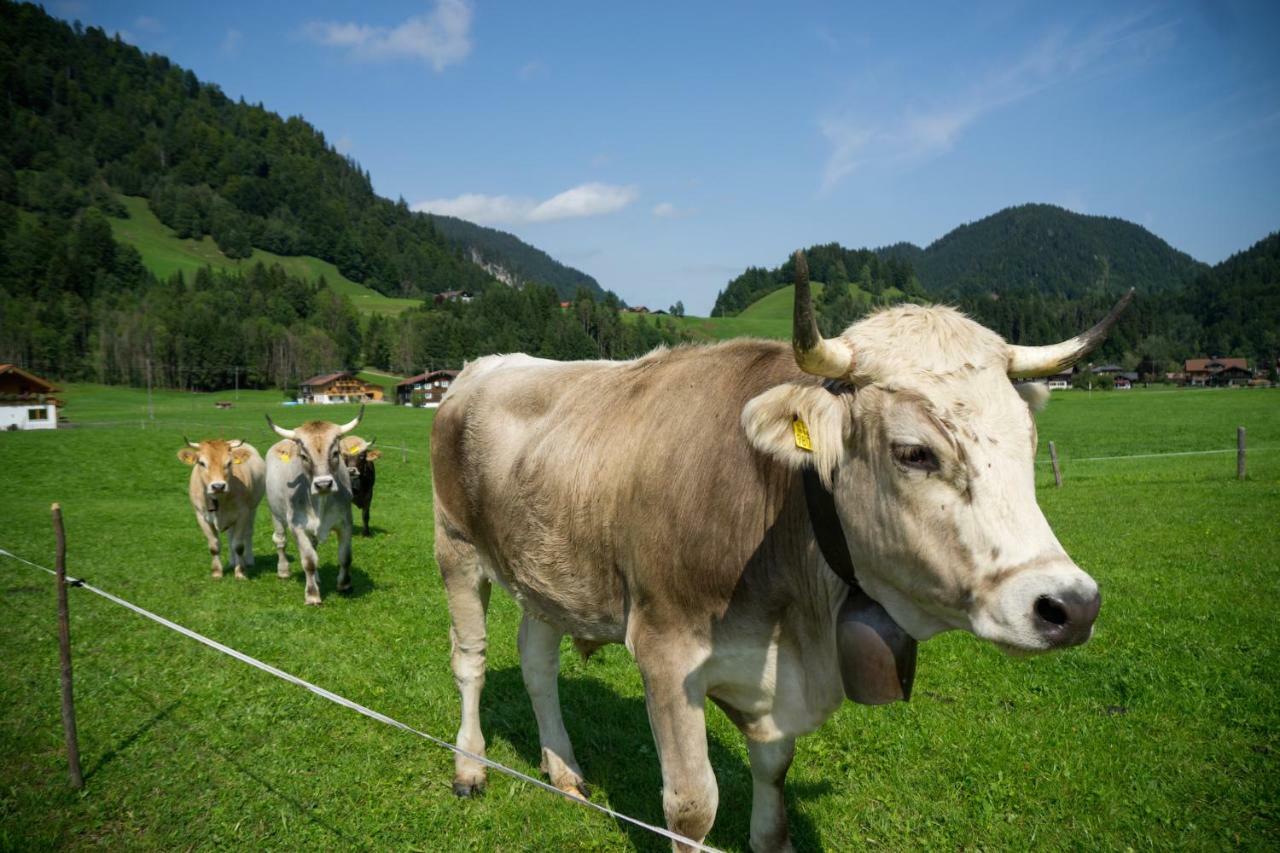 Geigers Ferienhaus Tiefenbach bei Oberstdorf Eksteriør bilde